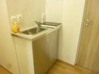 a bathroom with a sink in a room at Apartmán VAN NG in Prague