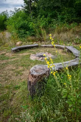 a tree stump sitting in the grass with yellow flowers at Wellness bungalov - vodní nádrž Slapy - 40km od Prahy in Nečín