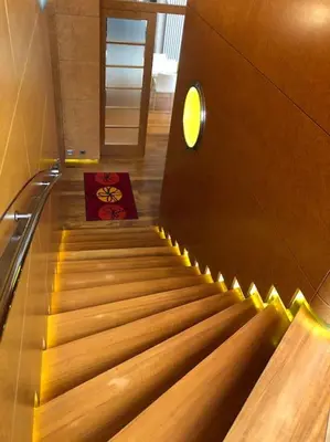 a staircase in a building with a red bag on it at Huge luxury central Prague VILLA, 6 beds and baths, terraces, double garage in Prague