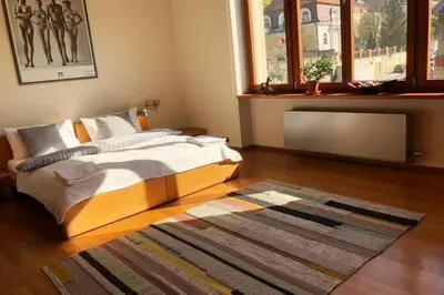 a bedroom with a bed and a rug at Huge luxury central Prague VILLA, 6 beds and baths, terraces, double garage in Prague