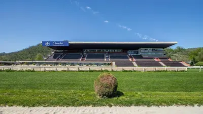a bush in the grass in front of a stadium at B&B Chuchle Arena Praha in Prague