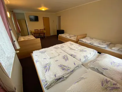 a room with three beds in a room at Penzion Pod Zámkem in Pruhonice
