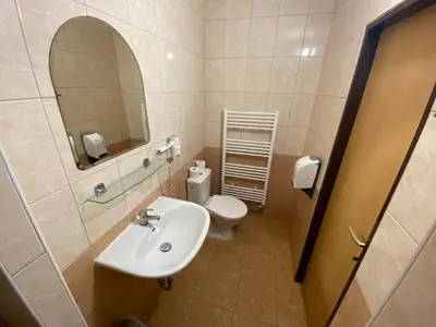 a bathroom with a sink and a toilet and a mirror at Penzion Pod Zámkem in Pruhonice