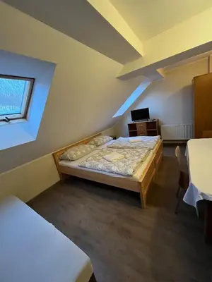 a bedroom with a bed in a room with a window at Penzion Pod Zámkem in Pruhonice
