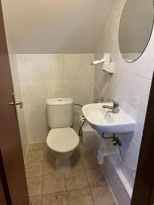 a bathroom with a toilet and a sink at Penzion Pod Zámkem in Pruhonice