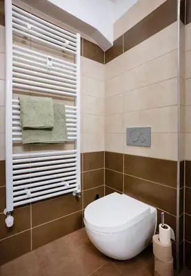 a bathroom with a white toilet in a room at Modern Studio in Prague 7 in Prague