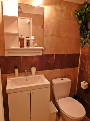 a bathroom with a sink and a toilet and a mirror at Studio Boroví in Karlštejn