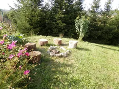 a group of tree stumps in a yard at Studio Boroví in Karlštejn