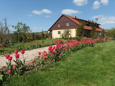 a row of red tulips in front of a house at Studio Boroví in Karlštejn