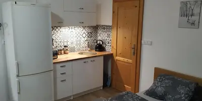 a small kitchen with a sink and a refrigerator at Ubytování Na Vyhlídce 143 in Benátky nad Jizerou