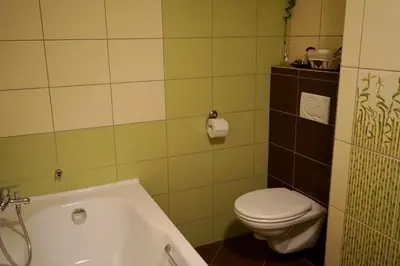 a bathroom with a toilet and a bath tub at Apartment Boroví in Karlštejn