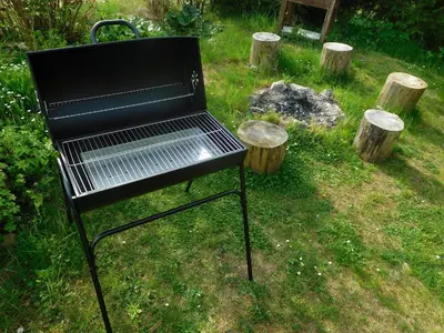 a black grill sitting in the grass next to some logs at Apartment Boroví in Karlštejn