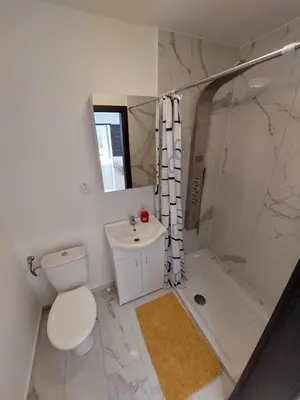 a bathroom with a toilet and a sink and a shower at Vehlovice Apartments in Mělník