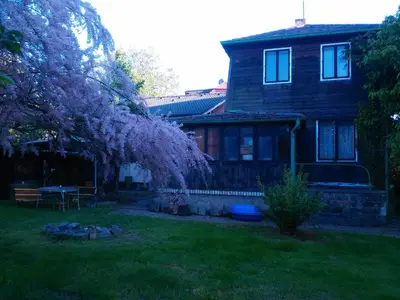 a house with a purple flowering tree in the yard at Old Summer House with renovated bathroom in Prague