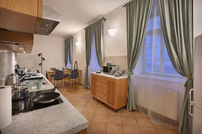 a kitchen with a sink and a counter top at White Swan Boutique Apartments in Prague