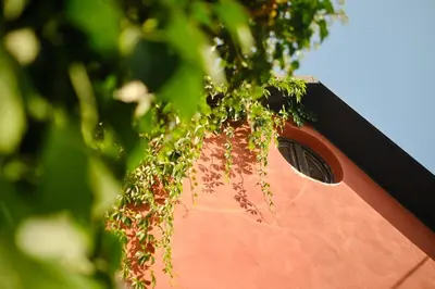 a pink vase with a plant growing out of it at Rusty's Cottage in Sedlčany