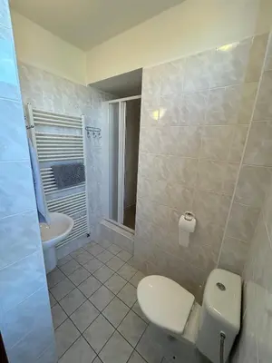 a bathroom with a toilet and a sink at Penzion Maják in Dublovice