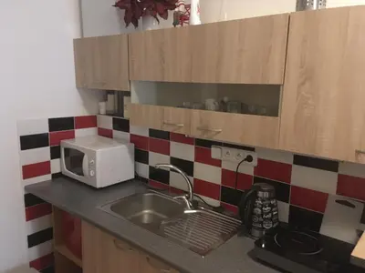 a kitchen counter with a sink and a microwave at BAILANDO Studio in Neratovice