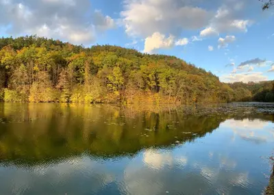 a view of a lake in the middle of a forest at penzion a kemp Harasov in Vysoká