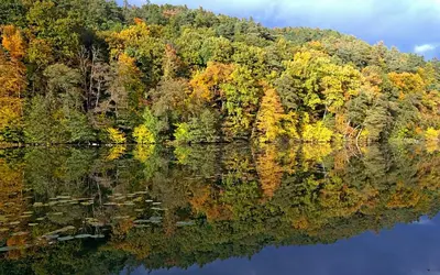 a reflection of a forest in the water at penzion a kemp Harasov in Vysoká