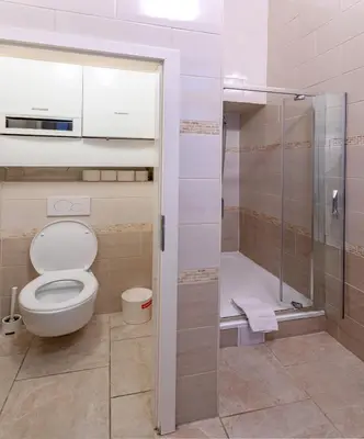 a bathroom with a toilet and a shower at Michalska Apartment in Prague