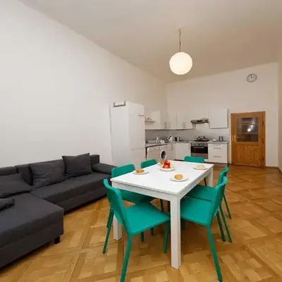 Apartment Manesova 4