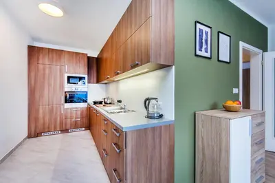 a kitchen with green walls and wooden cabinets at REZIDENCE ŠVEHLOVA in Prague