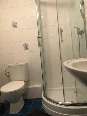 a bathroom with a toilet and a shower and a sink at Malá Svatá Hora - penzion & restaurace in Mníšek pod Brdy
