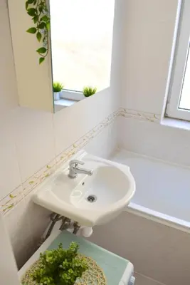 a bathroom with a sink and a potted plant at Romantic Bijou Apartment near Old Town! in Prague