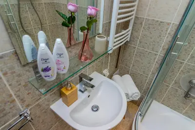 a bathroom with a sink and a glass shelf with flowers at Old Town Studio Apartment in Prague