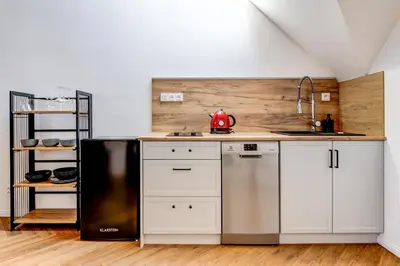 a kitchen with white cabinets and a black refrigerator at Design Pension Twenty 20 in Poděbrady