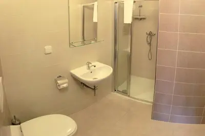 a bathroom with a toilet and a sink and a shower at Štiřínská stodola u Prahy in Kamenice