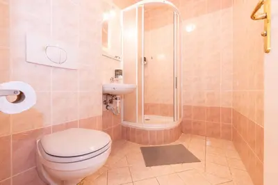 a bathroom with a toilet and a shower at Penzion Stříbrná Lhota in Mníšek pod Brdy