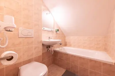 a bathroom with a toilet and a sink and a tub at Penzion Stříbrná Lhota in Mníšek pod Brdy