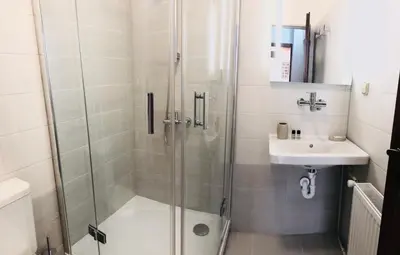 a bathroom with a shower and a sink at Penzion Laterna in Litoměřice