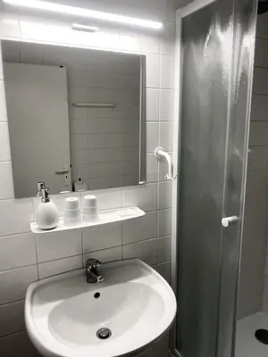 a bathroom with a sink and a shower with a mirror at Pension 1310 in Mladá Boleslav