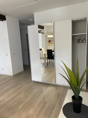 an open living room with a mirror and a potted plant at Pension 1310 in Mladá Boleslav