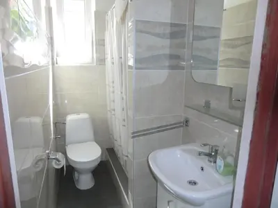 a bathroom with a white toilet and a sink at Orbis in Prague