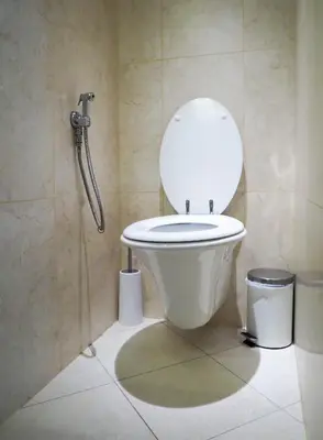 a bathroom with a toilet and a shower at Karlova - Old Town Apartment in Prague