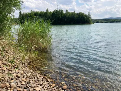 a body of water with some grass on the shore at KuK Račice in Račice