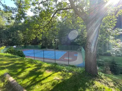 a tennis court in a yard with a tree at Penzion Kokorin Forest Villa in Konrádov