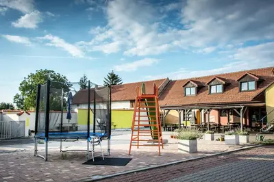 a playground with a ladder and a swing set at Penzion Zlaté Slunce in Chocenice