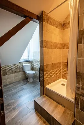 a attic bathroom with a toilet and a shower at Penzion Zlaté Slunce in Chocenice