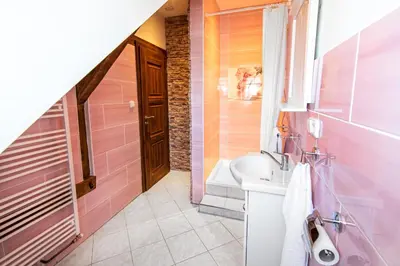a pink bathroom with a sink and a toilet at Penzion Zlaté Slunce in Chocenice