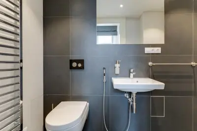 a bathroom with a toilet and a sink at Anděl design duplex, AC, garage in Prague