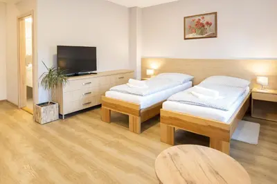 a room with two beds and a flat screen tv at Penzion Harmony Javorník in Čtyřkoly