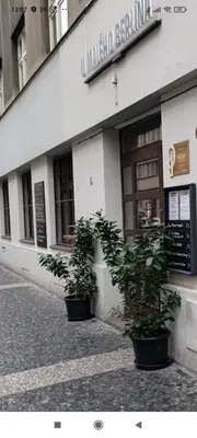 two potted plants sitting outside of a building at Apartmen -Studio in Prague