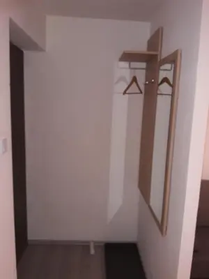 a hallway with a white wall and a wooden door at Apartman V Podbabe in Prague