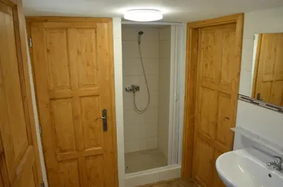 a bathroom with a shower and a wooden door at Apartmány Kosmonosy, Hradištská 181 in Mladá Boleslav