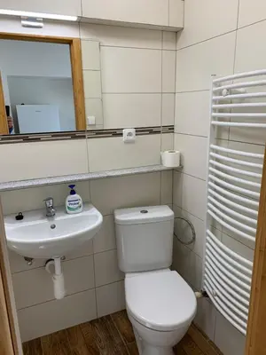 a bathroom with a toilet and a sink at Apartmány Kosmonosy, Hradištská 193 in Mladá Boleslav